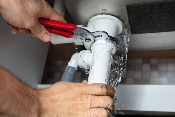 Best Carpet water damage restoration  in Milton, GA