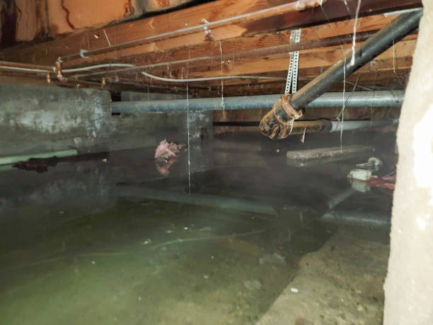 Local water damage restoration in Milton, GA