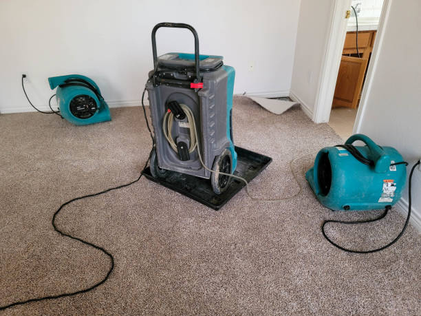 Best 24-hour water damage restoration  in Milton, GA