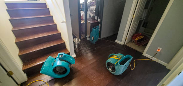 Best Water damage restoration near me  in Milton, GA