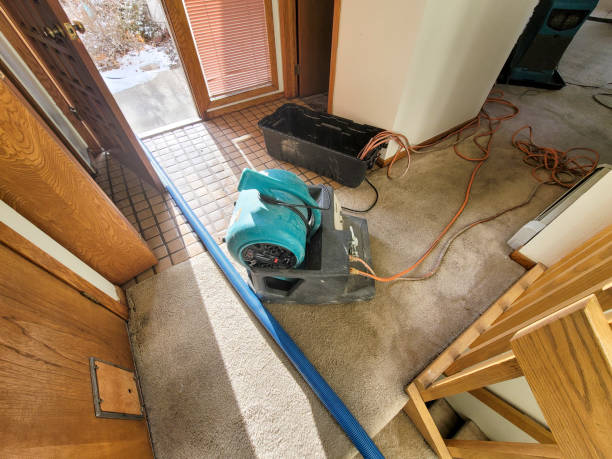 Best Carpet water damage restoration  in Milton, GA