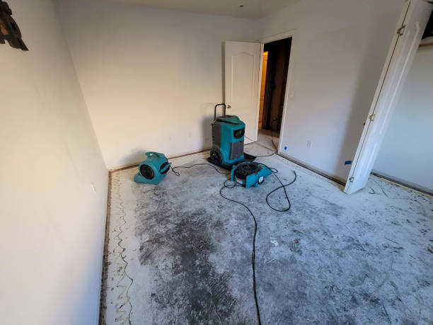 Best Residential water damage restoration  in Milton, GA