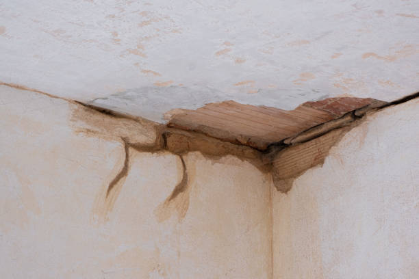 Best Water damage restoration company  in Milton, GA
