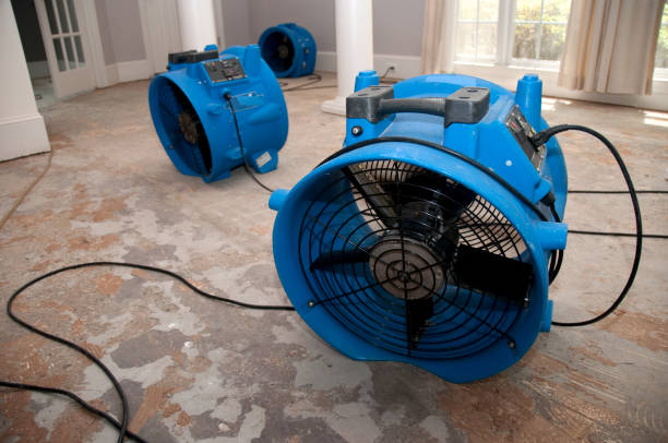 Best Ceiling water damage repair  in Milton, GA
