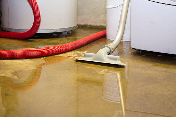 Best Flooded house restoration  in Milton, GA