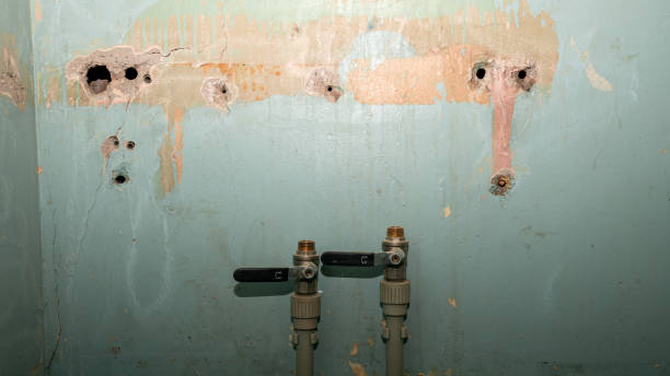 Best Professional water damage repair  in Milton, GA
