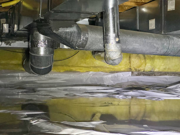 Best Ceiling water damage repair  in Milton, GA
