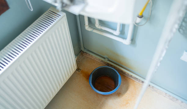 Best Sewage cleanup and water damage restoration  in Milton, GA