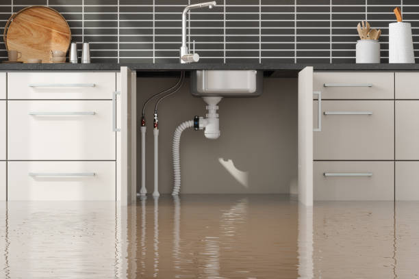 Best Local water damage restoration  in Milton, GA