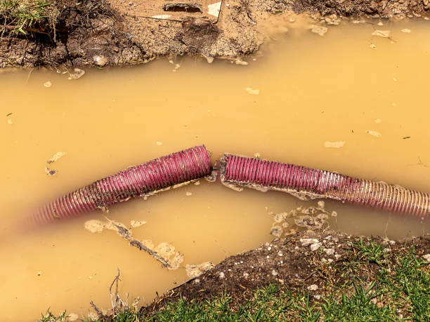 Best 24-hour water damage restoration  in Milton, GA