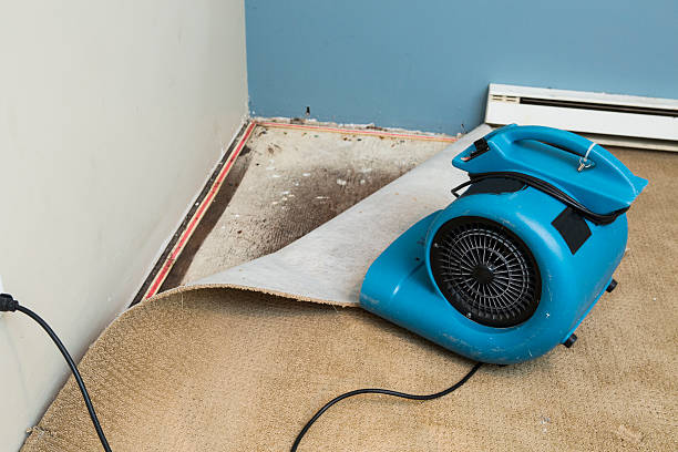 Best Water damage restoration cost  in Milton, GA